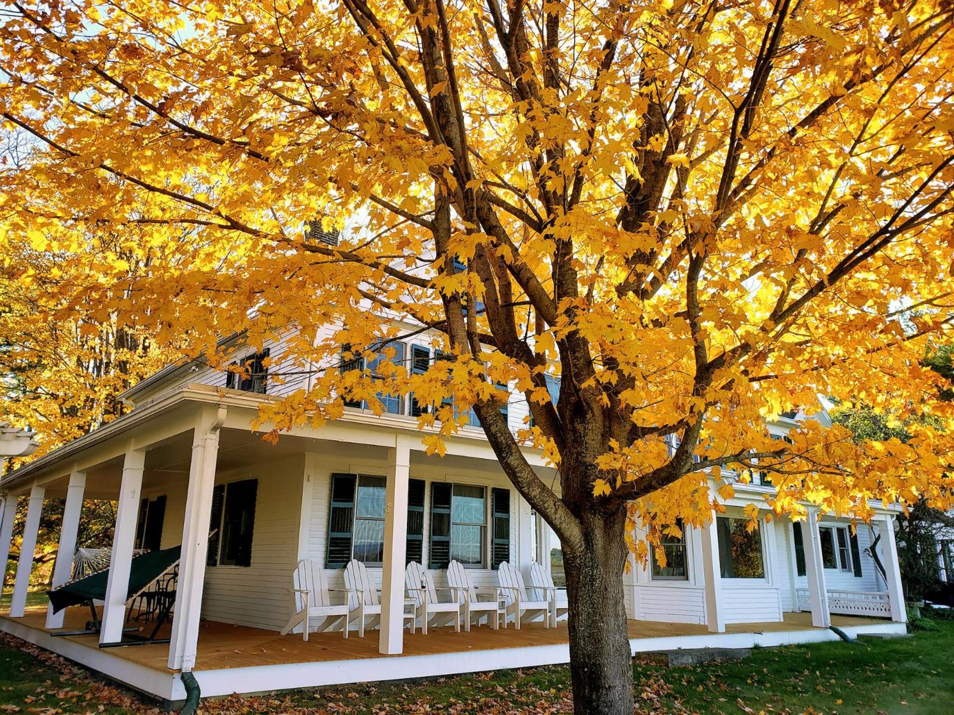 Maguire House Bed And Breakfast Ashburnham Экстерьер фото